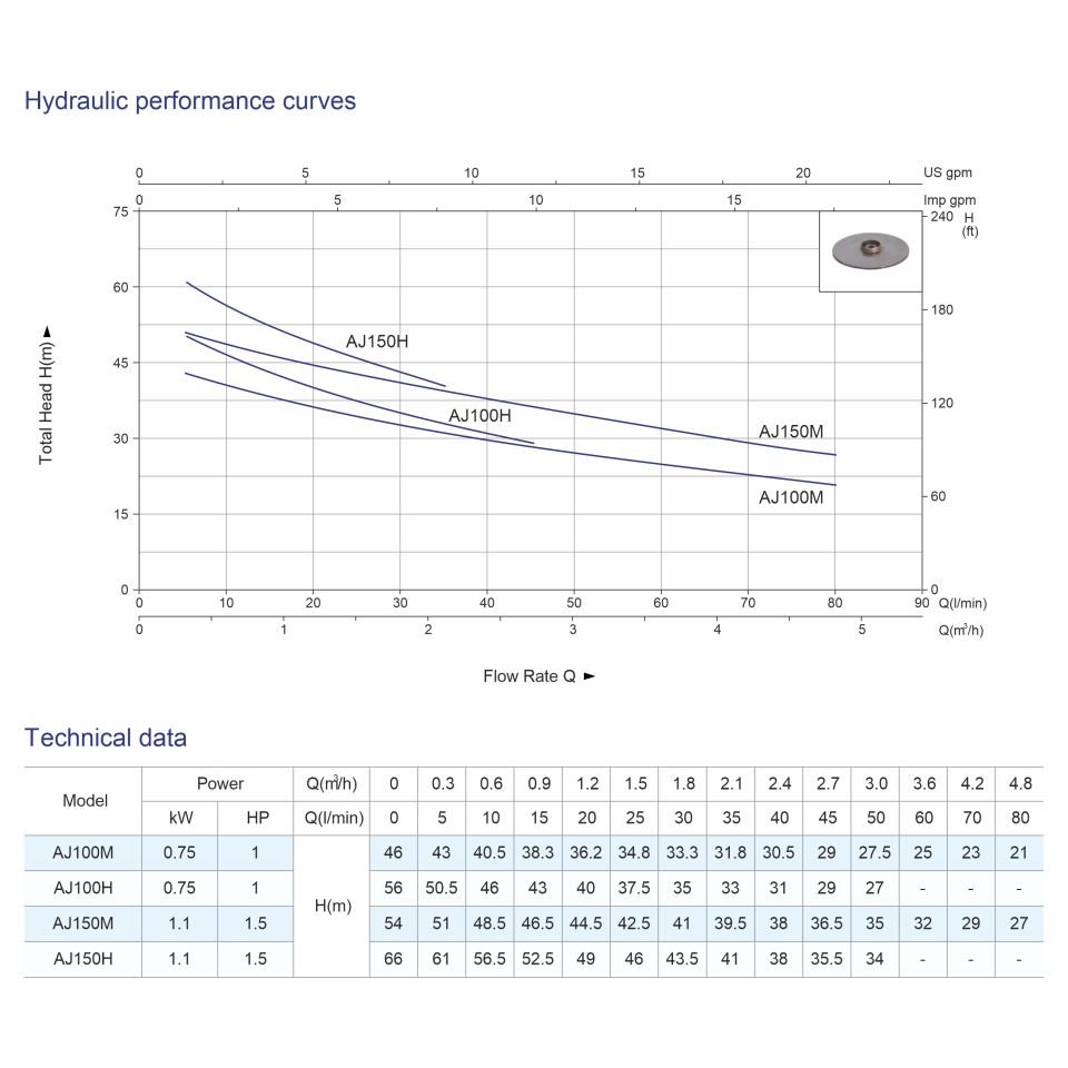 AJ100M Kendinden Emişli Jet Pompa